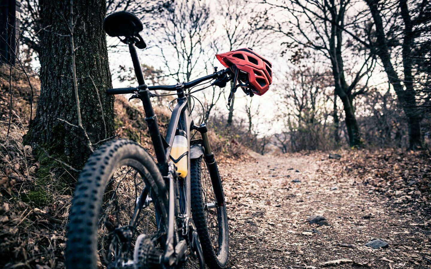 Ronde Megalopolis landen Tips om je eerste mountainbike te kopen – SIROKO CYCLING COMMUNITY